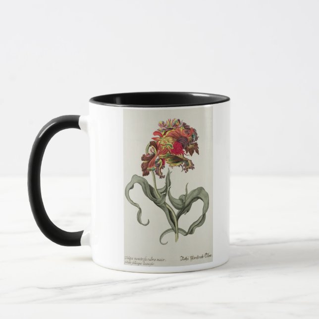 Caneca Tulipa Monstrosa Rubra Maior 'de Phythanthoza CI (Esquerda)