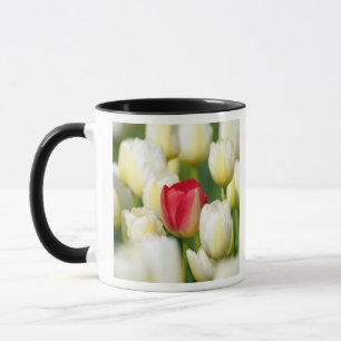 Caneca Tulipa vermelha em um campo das tulipas brancas