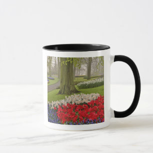 Caneca Tulipas e narcisos, Jardins Keukenhof,