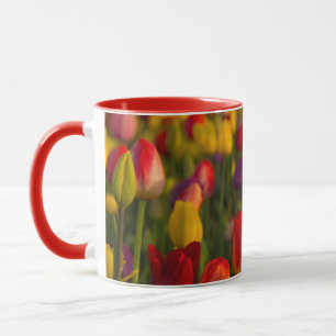 Caneca Tulipas, Festival das Tulipas, Woodburn, Oregon, E