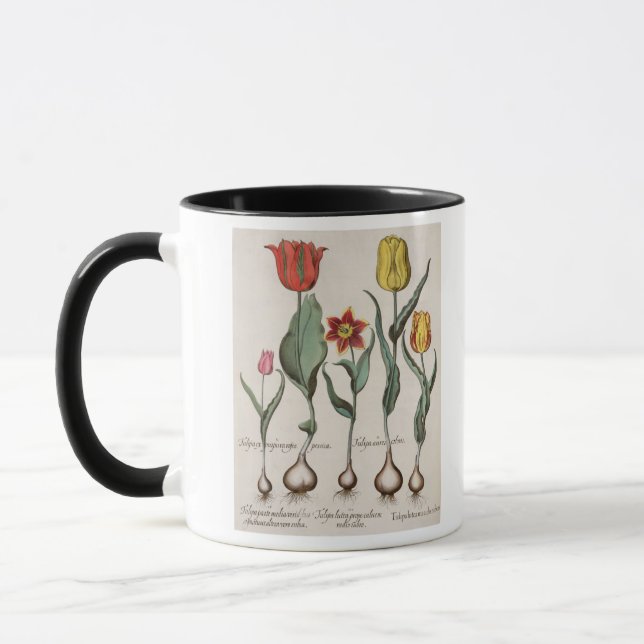 Caneca Tulipas: rubens dos maculis do lutea 1.Tulipa; au (Esquerda)