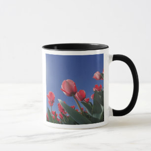 Caneca Tulipas vermelhas de ângulo muito baixo, Cincinnat