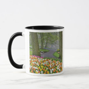 Caneca Tulips e estrada, Keukenhof Gardens, Lisse,