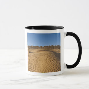 Caneca Tunísia, Zona de Ksour, Ksar Ghilane, Grand Erg 4