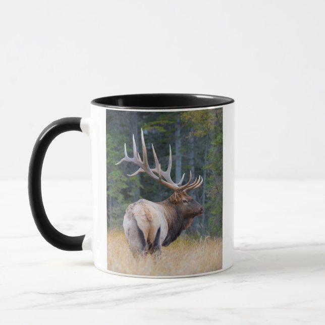 Caneca Uapiti Canadense Macho das Montanhas Rochosas (Esquerda)