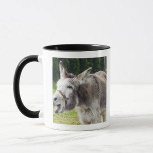 Caneca Um asno