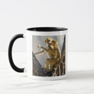 Caneca Um babuíno amarelo novo (cynocephalus do Papio)