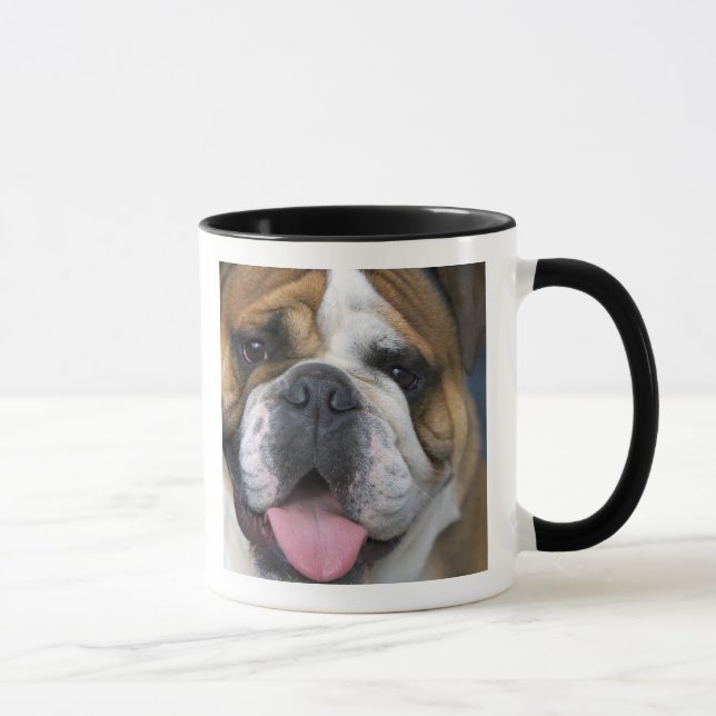 Caneca Um buldogue inglês na Bélgica. (Direita)