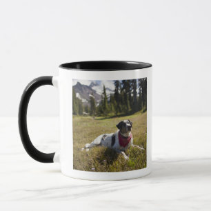 Caneca Um cão descansa após a caminhada ao parque de