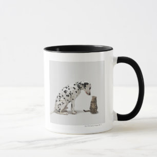 Caneca Um cão que olha um gato