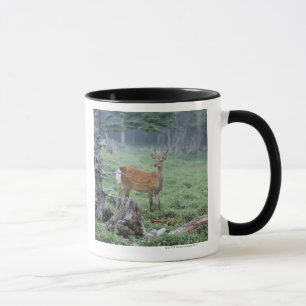 Caneca Um cervo novo em um esclarecimento da floresta