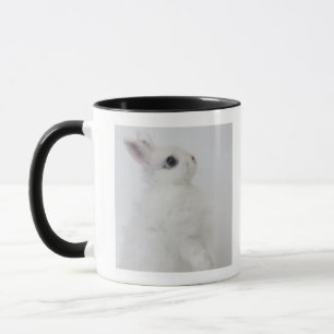 Caneca Um coelho branco. Jérsei Wooly.