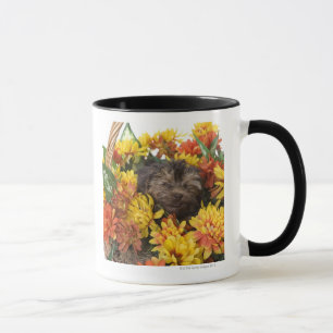 Caneca Um filhote de cachorro de Yorkie-Poo em uma cesta