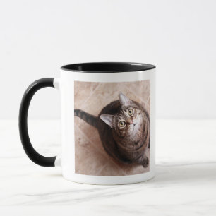 Caneca Um gato de gato malhado que olha acima