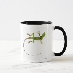 Caneca Um lagarto na terra branca pura