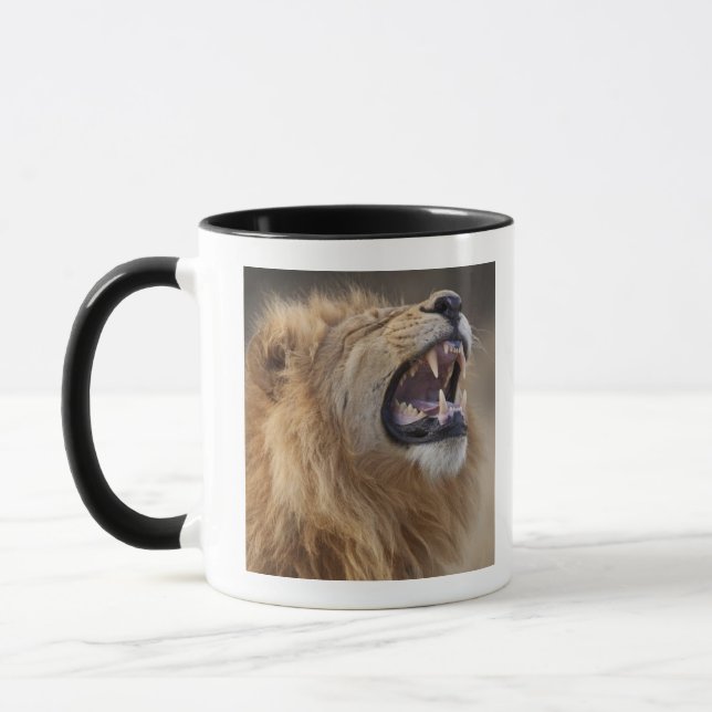 Caneca Um leão masculino maduro (Panthera leo) no Savuti (Esquerda)