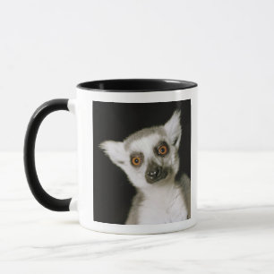 Caneca Um lemur.