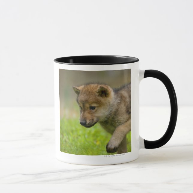 Caneca Um lobo do bebê (Direita)