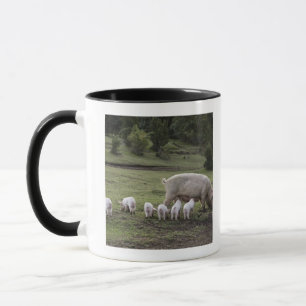 Caneca Um porco com leitão em um campo