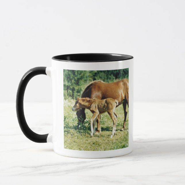 Caneca Um potro e um cavalo em um pasto (Esquerda)