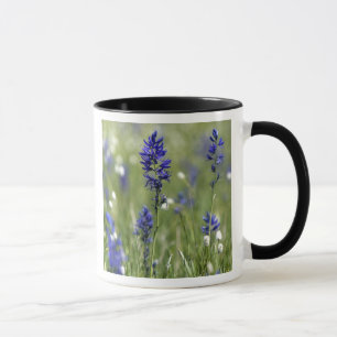 Caneca Um prado montanhoso de flores silvestres incluindo