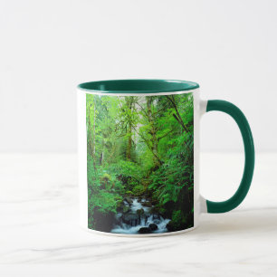 Caneca Um riacho numa floresta primária