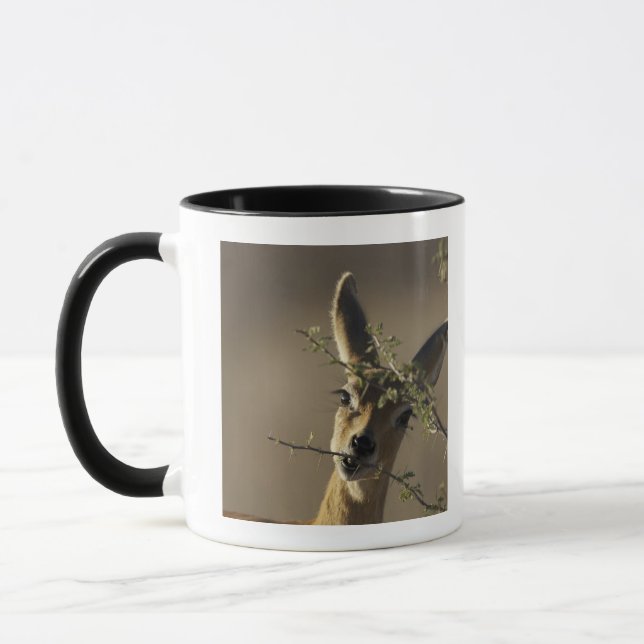 Caneca Um Steenbok que olha a câmera quando comer (Esquerda)