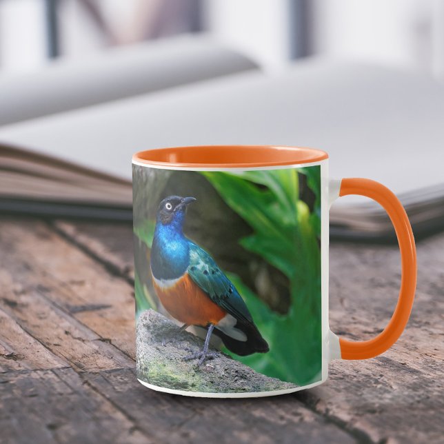 Caneca Um surpreendente cantor africano Starling (Stunning African Superb Starling on the Rock 11 oz Coffee Mug Cover Photo.)