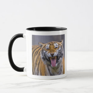 Caneca Um tigre rujir, jardim zoológico de Formosa,