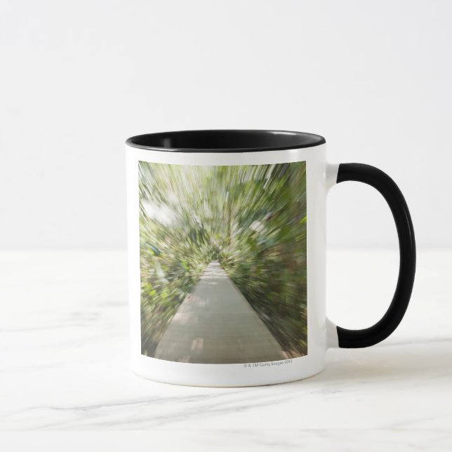 Caneca Um trajeto de madeira através da floresta húmida (Direita)
