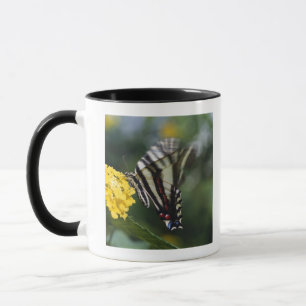 Caneca Uma borboleta, na família de Swallowtails ou