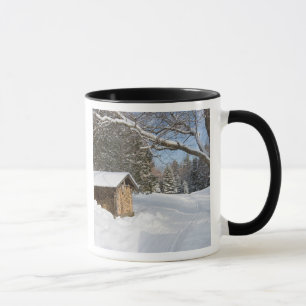 Caneca Uma cena nevado lagoa do Lyford de AMC em pouca