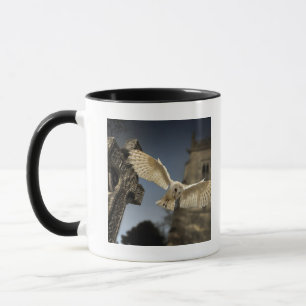 Caneca Uma coruja de celeiro (Tyto alba) em um cemitério