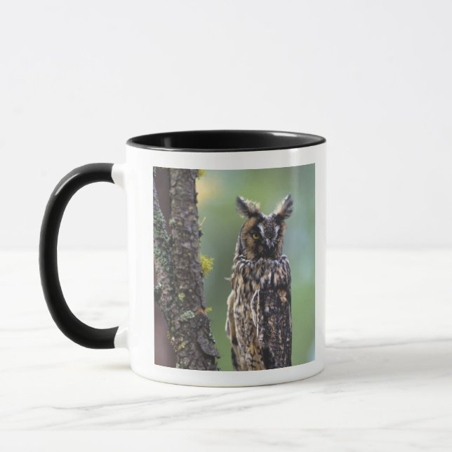 Caneca Uma coruja-de-orelha-longa empoleirada num ramo de (Esquerda)