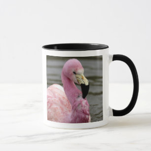 Caneca Uma foto cativa de um Flamingo Andino