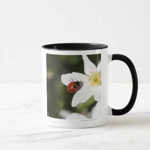 Caneca Uma joaninha em uma suecia de Éstocolmo da anêmo