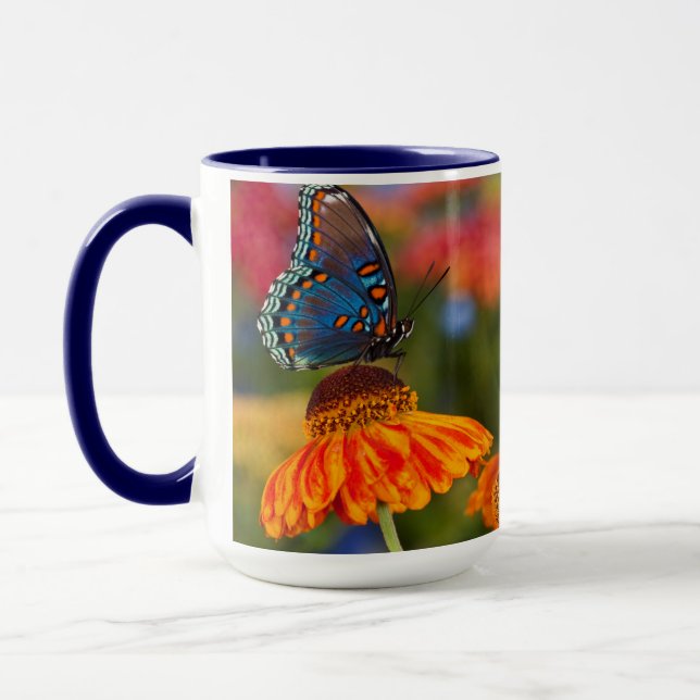 Caneca Uma Spicebush Swallowtail, Papilio troilus (Esquerda)