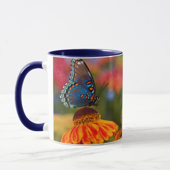 Caneca Uma Spicebush Swallowtail, Papilio troilus (Esquerda)