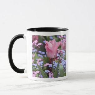 Caneca Uma tulipa nos Jardins de Luxemburgo, Paris, Franç