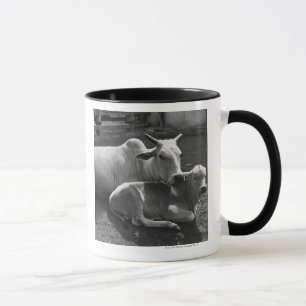 Caneca Uma vaca indiana e sua vitela que encontram-se em