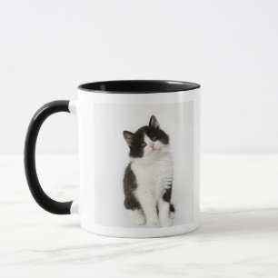 Caneca Uma vista de assento do gatinho novo na câmera