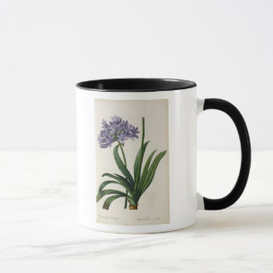 Caneca Umbrellatus do Agapanthus