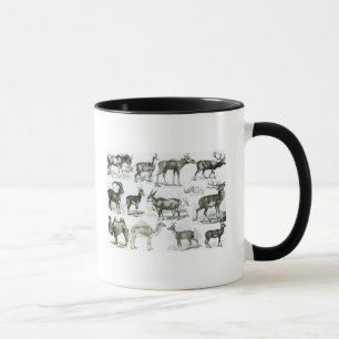 Caneca Ungalata ou animais Hoofed