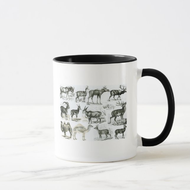 Caneca Ungalata ou animais Hoofed (Direita)