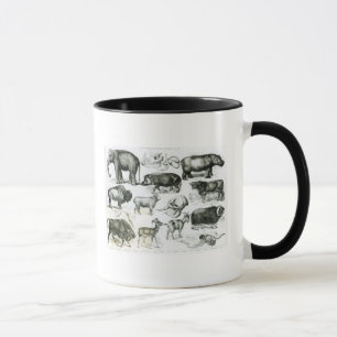 Caneca Ungulata ou animais Hoofed