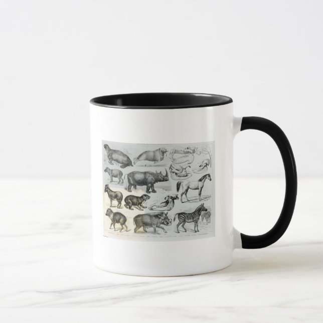 Caneca Ungulata ou animais Hoofed (Direita)