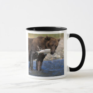 Caneca Urso castanho, urso pardo, com capturas de salmão,