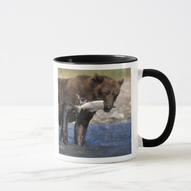 Caneca Urso castanho, urso pardo, com capturas de salmão, (Direita)