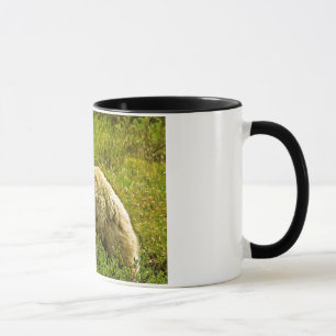 Caneca Urso de Denali