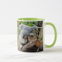Urso de Koala bonito do sono